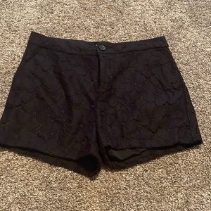 LC Lauren Conrad Size 8 Black Shorts